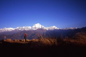 Поход на гору Горепани Пун в Непале