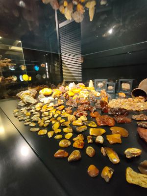 Светлогорск - Янтарный