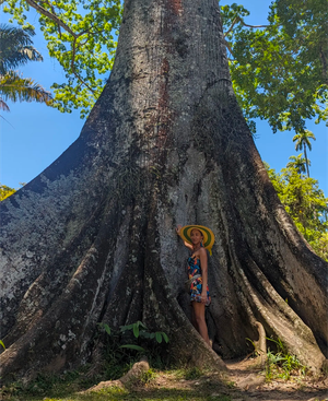 Статуя Христа и ландшафты Рио де Жанейро