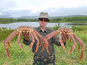 Крабовое сафари