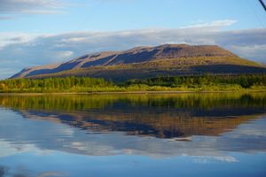 По следам фильма Территория