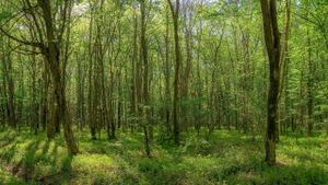 ЯРКИЕ КРАСКИ ТАБАСАРАНА