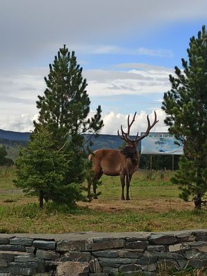Река Катунь, Семинский перевал и дикие места
