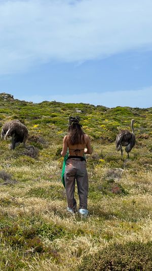 Дорога домой