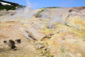 Дачные источники