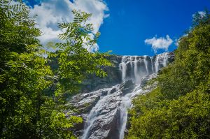 Экскурсия в Аланское городище, Лик Христа