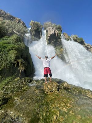 Движение-жизнь