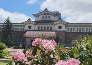 Красивое лето на Сахалине 2026 в мини-группе