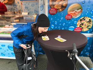 Харлем, Собор святого Бавона, национальный парк