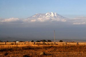 29 января. Прибытие в Моши, знакомство, отдых