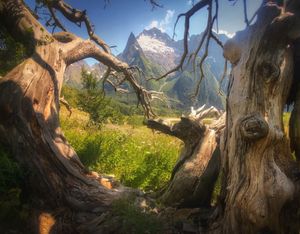 Мусса-Ачитара