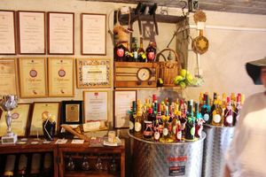 Свободное время или Скадарское озеро и виндодельня