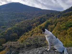 Треккинг-тур в Армении