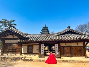 Пока-пока, Южная Корея