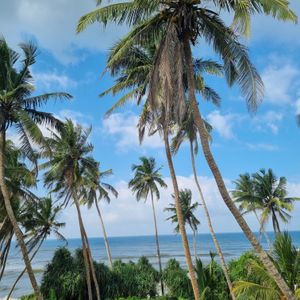 Пляжный отдых, свободный день