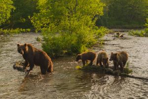 2026: киты, вулканы, медведи, баня на берегу океана. Вау