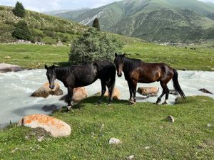 Кыргызстан: Страна Небесных Гор. 7 дней