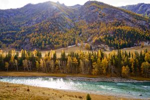 Золотой октябрь 2026 на Алтае