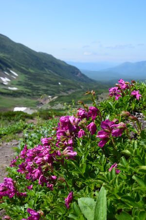 Горный массив Вачкажец