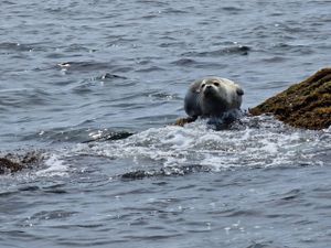 Самый Южный Остров России - Фуругельма