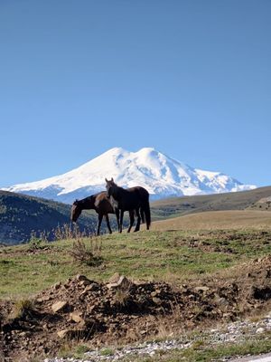 Архыз (Эльбрус) и Домбай в одном мегапутешествии! Индивидуально