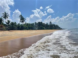 Свободный день, пляжный отдых