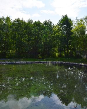 Сплав по реке Быстрой