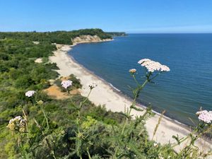 Зелёная тропа Янтарного побережья