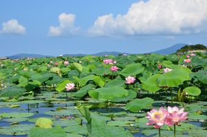 Прощаемся С Владивостоком