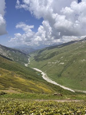 Местия Батуми