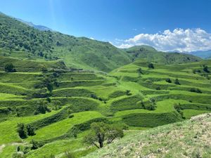 Гамсутль, Чохские терассы
