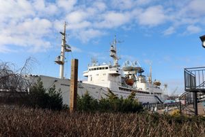 Встреча, экскурсия по Калининграду