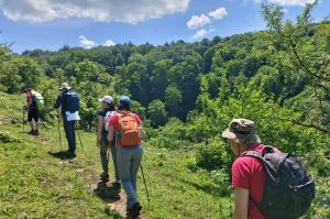 Треккинг в ущелье Мишоко