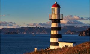 Морская прогулка по бухтам с выходом в Тихий океан