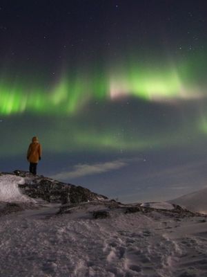 В Териберку за северным сиянием