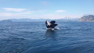 Многогранная Камчатка