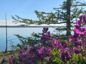 Тур на плато Путорана: Территория Большой Медведицы