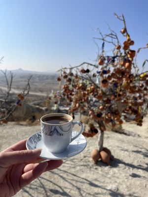 Каппадокия: страна прекрасных лошадей