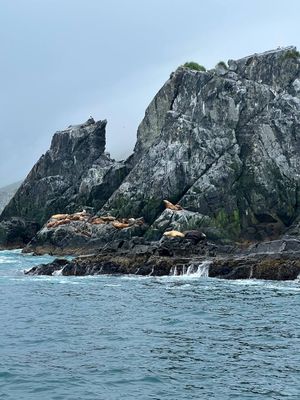 В гостях у Кутха (комбинированный тур на внедорожниках, без палаток)