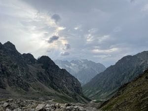 Нетипичное Приэльбрусье с аляскинским маламутом