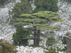 Трек в районе Анталии