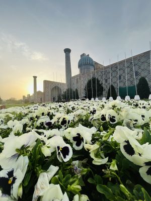 По городам Шёлкового пути