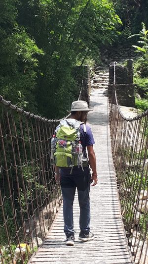 Drive from Pokhara to Nayapul & amp; Trek Tikhedunga