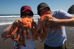 Здравствуй, Камчатка