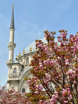 Разноцветные домики Балата