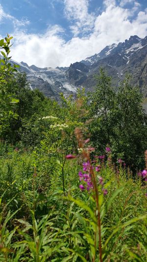 Горная Ингушетия