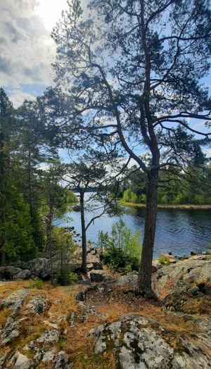 Карелия: 2 дня в сказке. Домики с панорамным видом и лучшие места