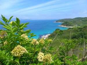 Краббе, Тобизина или Японское море