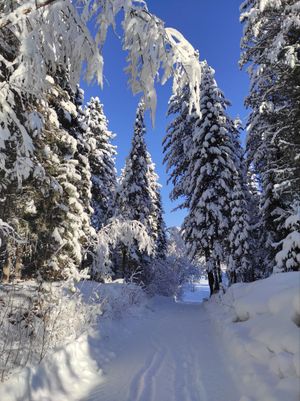 Переезд до Телецкого озера, Глк Телецкий