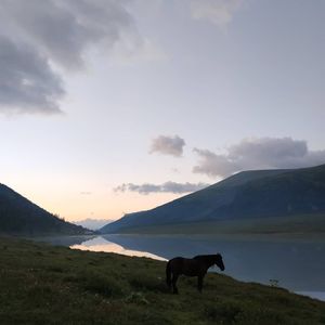 Перевал Кара-Тюрек (3078М) пешком 10 км